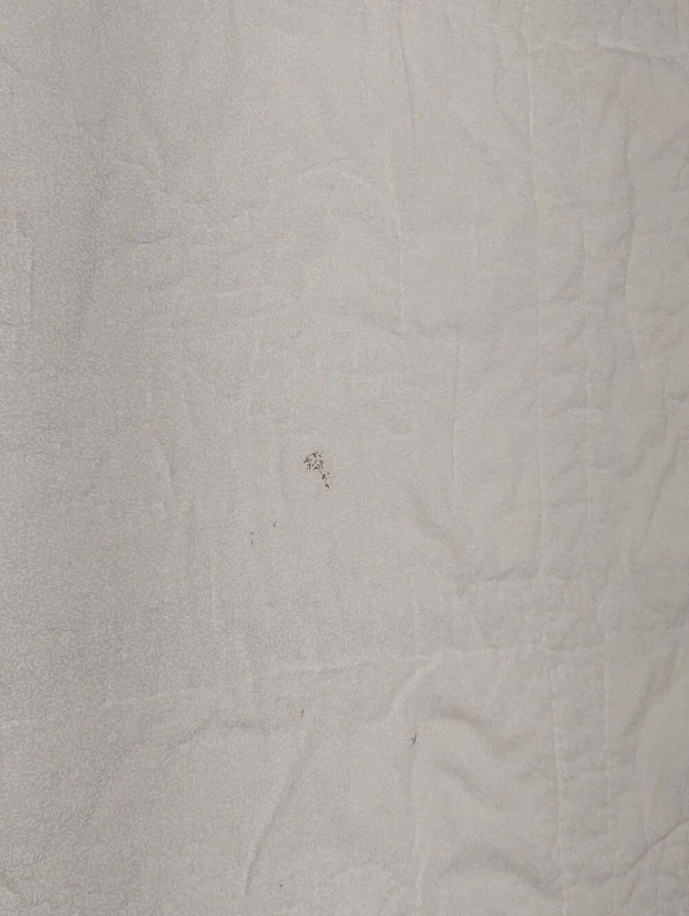 Sunbonnet Sue Quilt